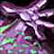 Stregone
